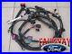 04_Super_Duty_OEM_Ford_Engine_Wiring_Harness_6_0L_BUILT_AFTER_9_23_03_witho_Heater_01_dzz