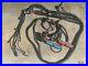 1997_2006_DBC_LS1_STANDALONE_WIRING_HARNESS_T56_or_TH350_TH400_powerglide_700R4_01_fv