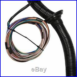 1997-2006 DBC LS1 STANDALONE WIRING HARNESS T56 or TH350 TH400 powerglide 700R4