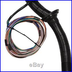 1997-2006 DBC LS1 STANDALONE WIRING HARNESS With 4L60E 4.8 5.3 6.0 VORTEC USA MADE
