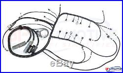 1997-2006 DBC LS1 STANDALONE WIRING HARNESS With 4L80e Transmission