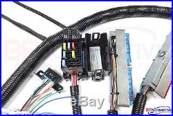 1997-2006 DBC LS1 STANDALONE WIRING HARNESS With T56 or Non-Electric Trans
