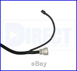 1999-2006 DBC LS1 Standalone Wiring Harness With 4L60E Trans