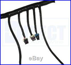 1999-2006 DBC LS1 Standalone Wiring Harness With 4L80E Trans