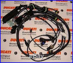 1999 Ducati 748SPS + Senna fuel injection main wiring harness withP8 ECU 51011111A