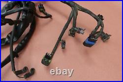 2000-2006 Harley Davidson Dyna Low Rider FXDL Main Wire Harness Wiring Loom