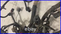2005-08 Ford F-150 Engine Wiring Harness Wire Loom