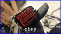2005-08 Ford F-150 Engine Wiring Harness Wire Loom