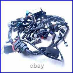 2008 Triumph Street Triple 675 Wiring Harness Loom T2500674
