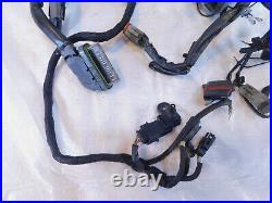 2009 09 Harley Davidson Sportster 883 & 1200 Main Wire Wiring Harness withKey