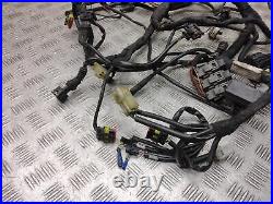 2009 DUCATI STREETFIGHTER 1100 S 1098 V2 Wiring loom Harness