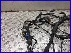 2009 DUCATI STREETFIGHTER 1100 S 1098 V2 Wiring loom Harness