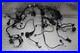 2013_Triumph_Thunderbird_Abs_Main_Engine_Wiring_Harness_Motor_Wire_Loom_01_tzfb