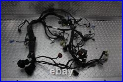 2016 Ducati Diavel Main Engine Wiring Harness Motor Wire Loom 2016 Ducati Diavel Main Engine Wiring Harness Motor Wire Loom