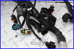 2016 Ducati Diavel Main Engine Wiring Harness Motor Wire Loom 2016 Ducati Diavel Main Engine Wiring Harness Motor Wire Loom