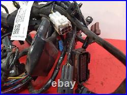 2017 Triumph Bonneville T100 Black Wiring Harness