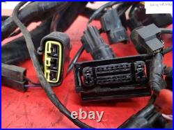 2017 Triumph Bonneville T100 Black Wiring Harness