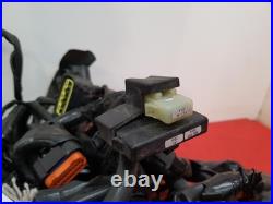 2018 Honda Crf1000l Wiring Harness 2018 Honda Crf1000l Wiring Harness