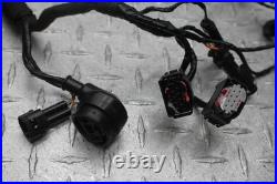 2019 Bmw G310r Main Engine Wiring Harness Motor Wire Loom