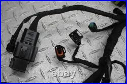 2019 Bmw G310r Main Engine Wiring Harness Motor Wire Loom