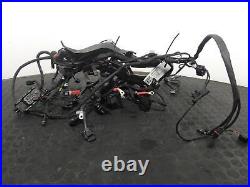 2020 BMW R1250 GS 2015-2020 Wiring Harness