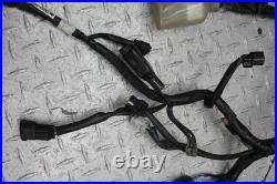 2023 Kawasaki Ex650r Main Engine Wiring Harness Motor Wire Loom