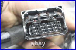 2023 Kawasaki Ex650r Main Engine Wiring Harness Motor Wire Loom