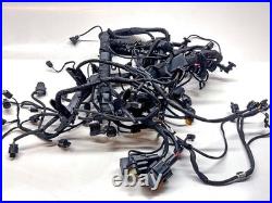 2024 BMW M1000R Main Wiring Harness Loom