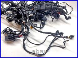 2024 BMW M1000R Main Wiring Harness Loom
