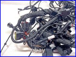 2024 BMW M1000R Main Wiring Harness Loom