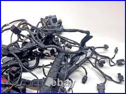 2024 BMW M1000R Main Wiring Harness Loom