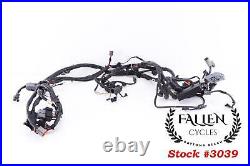 #3039 Genuine OEM Harley-Davidson Wiring Wire Harness MAIN 70245-02 VIDEO