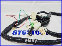 50cc TAOTAO ATM PONY SPEEDY SCOOTER COMPLETE WIRING HARNESS ASSEMBLY OEM