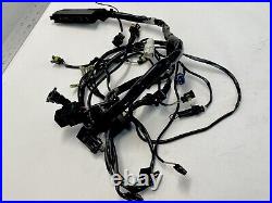 95-01 Used Ducati Superbike 748 Wiring Harness ECU MAIN 1999 Biposto