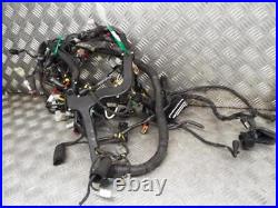 Aprilia Caponord 1200 2014-2017 Main Wire Wiring Loom Harness