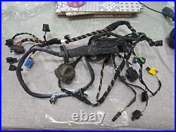 Audi R8 Gen 2 V10 Plus 4S Drivers right door wire wiring harness loom 4S8 971 02