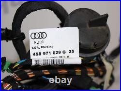 Audi R8 Gen 2 V10 Plus 4S Drivers right door wire wiring harness loom 4S8 971 02