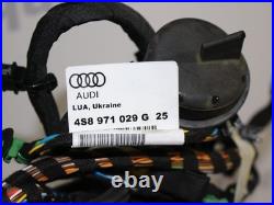 Audi R8 Gen 2 V10 Plus 4S Drivers right door wire wiring harness loom 4S8 971 02