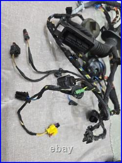 Audi R8 Gen 2 V10 Plus 4S Drivers right door wire wiring harness loom 4S8 971 02