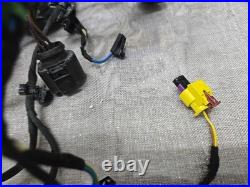 Audi R8 Gen 2 V10 Plus 4S Drivers right door wire wiring harness loom 4S8 971 02
