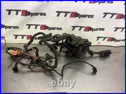 Audi TT 1.8T APX Wiring Loom ECU To Bulkhead Cooling Harness A3 Golf Conversion