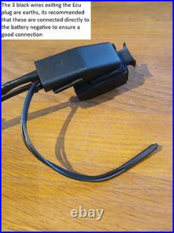 BMW M57/M47 standalone wiring harness, plug & play loom for 2 plug ECU