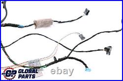 BMW X6 Series E71 Cable Loom Door Rear Left Right N/O/S Wiring Harness 9207860