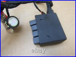 Benelli Leoncino 125 2023 5,977 miles wiring loom harness (13536)