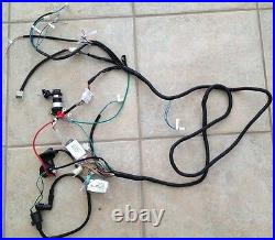 Chinese go kart wire harness wireharness 50cc 70cc 90cc 110cc 125cc SunL Taotao