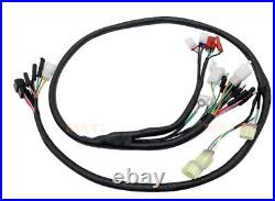 Dirt Racing Electrical Wiring Harness 1994-1997 Honda Fourtrax Trx 300 Fw 32100