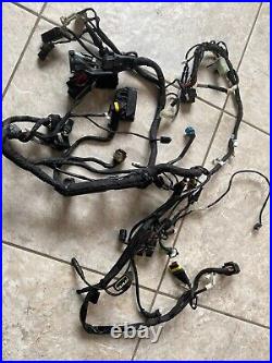 Ducati Panigale 1199R 2014 Main Wiring Harness