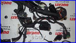 Ducati Rowing 1200 Cable Tree Wiring Loom Wire Cable Harness ar-226