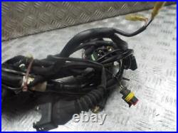 Ducati ST2 944cc Circa 2000-2003 Main Wire Wiring Loom Harness