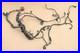 ENGINE_WIRING_LOOM_MANAGEMENT_HARNESS_Jaguar_S_Type_3_0_V6_1999_2000_01_tsts